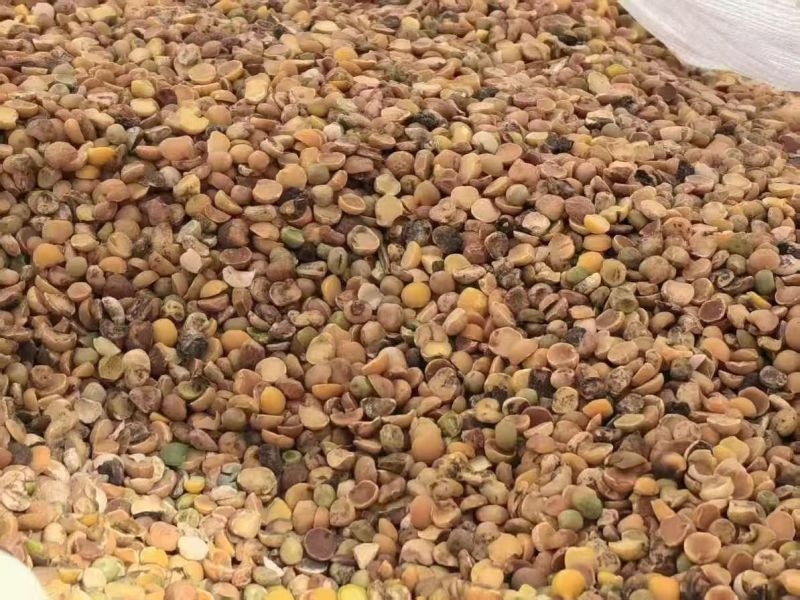 碎黄豆