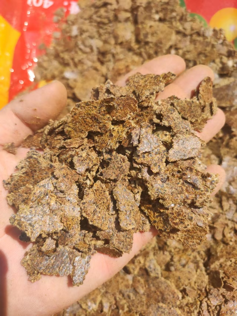 棉籽饼养殖专用棉籽饼厂家直发量大可货到付款