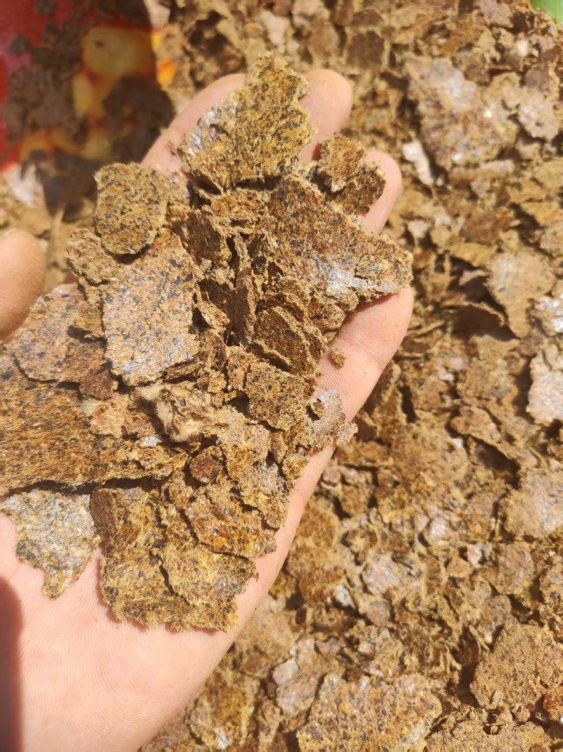 棉籽饼养殖专用棉籽饼厂家直发量大可货到付款