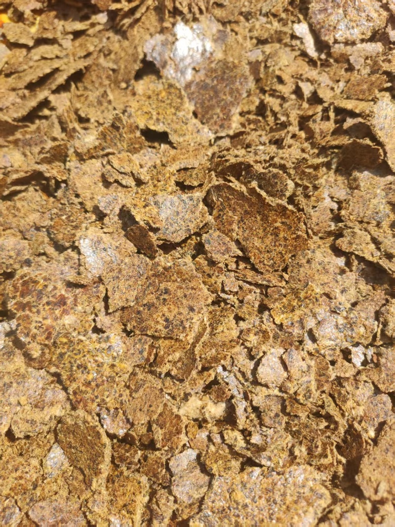 棉籽饼养殖专用棉籽饼厂家直发量大可货到付款