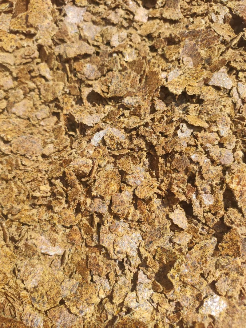 棉籽饼养殖专用棉籽饼厂家直发量大可货到付款