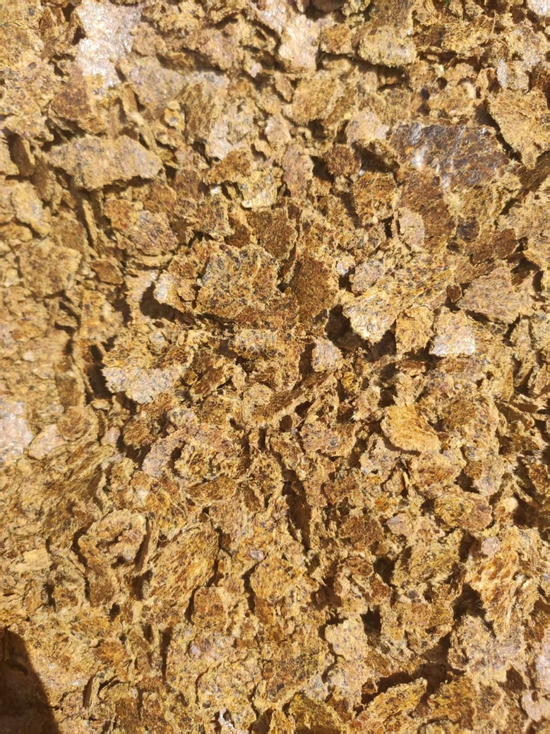 棉籽饼养殖专用棉籽饼厂家直发量大可货到付款