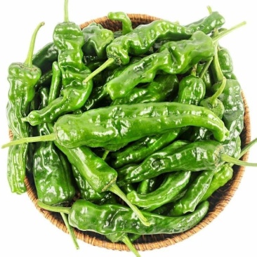 辣椒