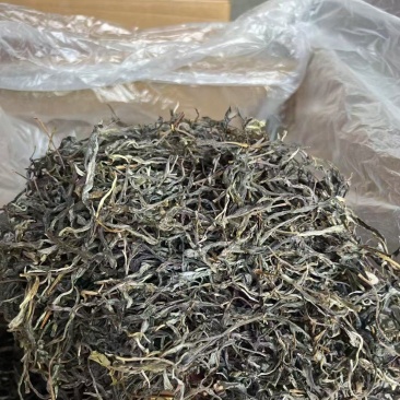易武天门山生态茶