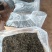 易武天门山生态茶