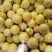 广西桂林钦蜜9号百香果大量有货/精品百香果量大优惠