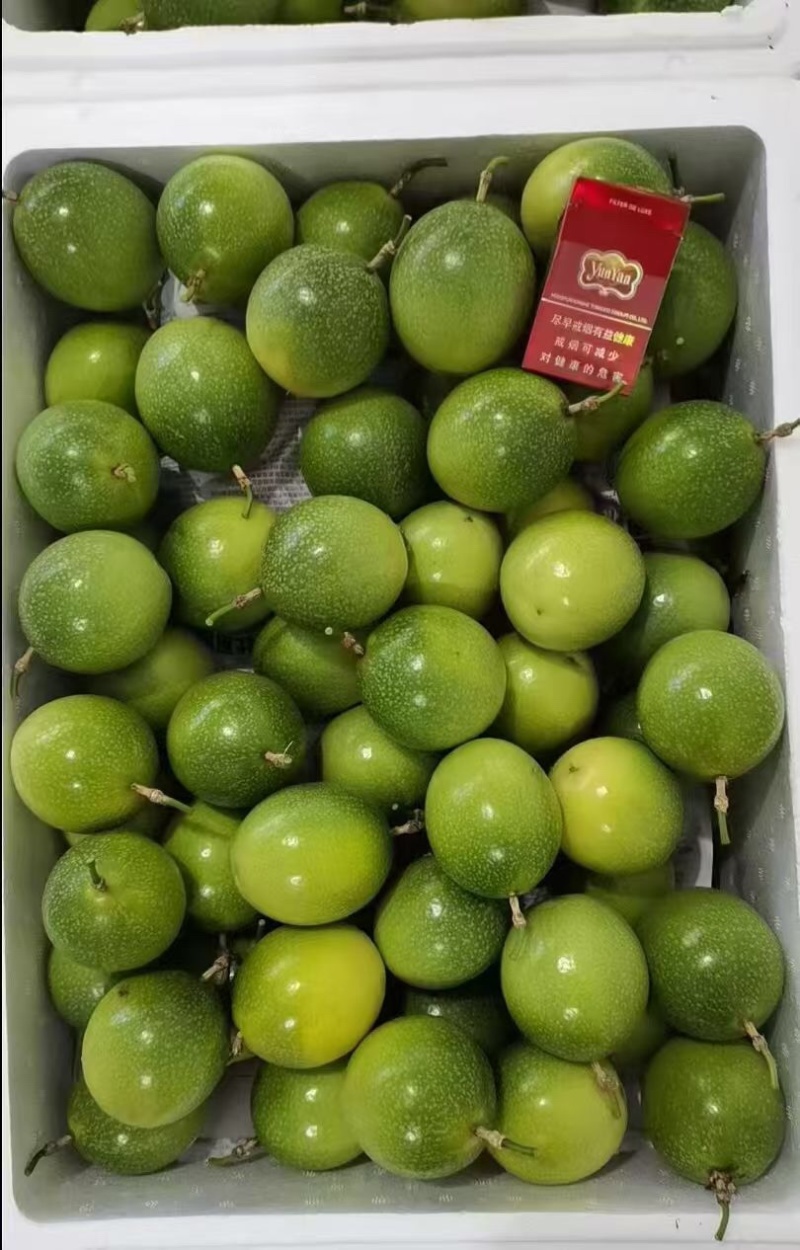 广西桂林钦蜜9号百香果大量有货/精品百香果量大优惠