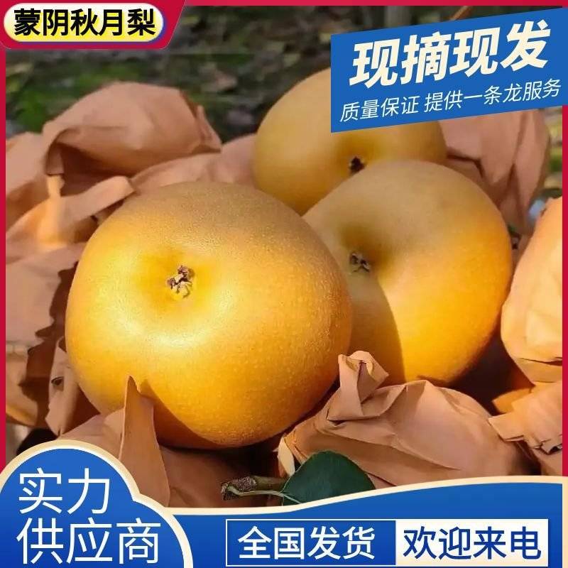 秋月梨《一件代发》现摘现发/对接电商平台/直播带货/团购