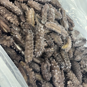 微微残即食辽参，口感超好