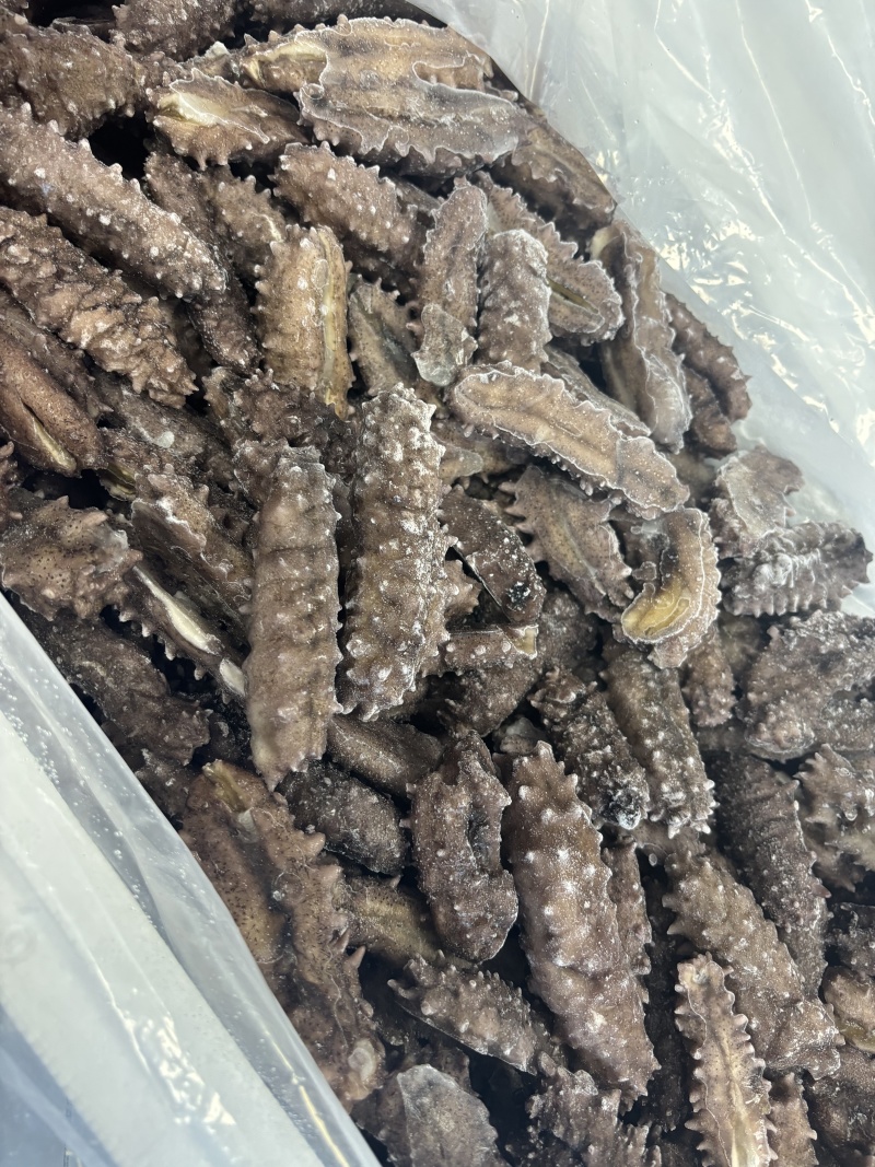 微微残即食辽参，口感超好