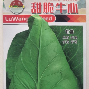 甘蓝种子甜脆牛心好吃型大牛心早熟质脆嫩味甘甜卖相好