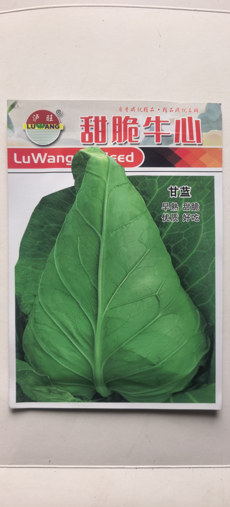 甘蓝种子甜脆牛心好吃型大牛心早熟质脆嫩味甘甜卖相好
