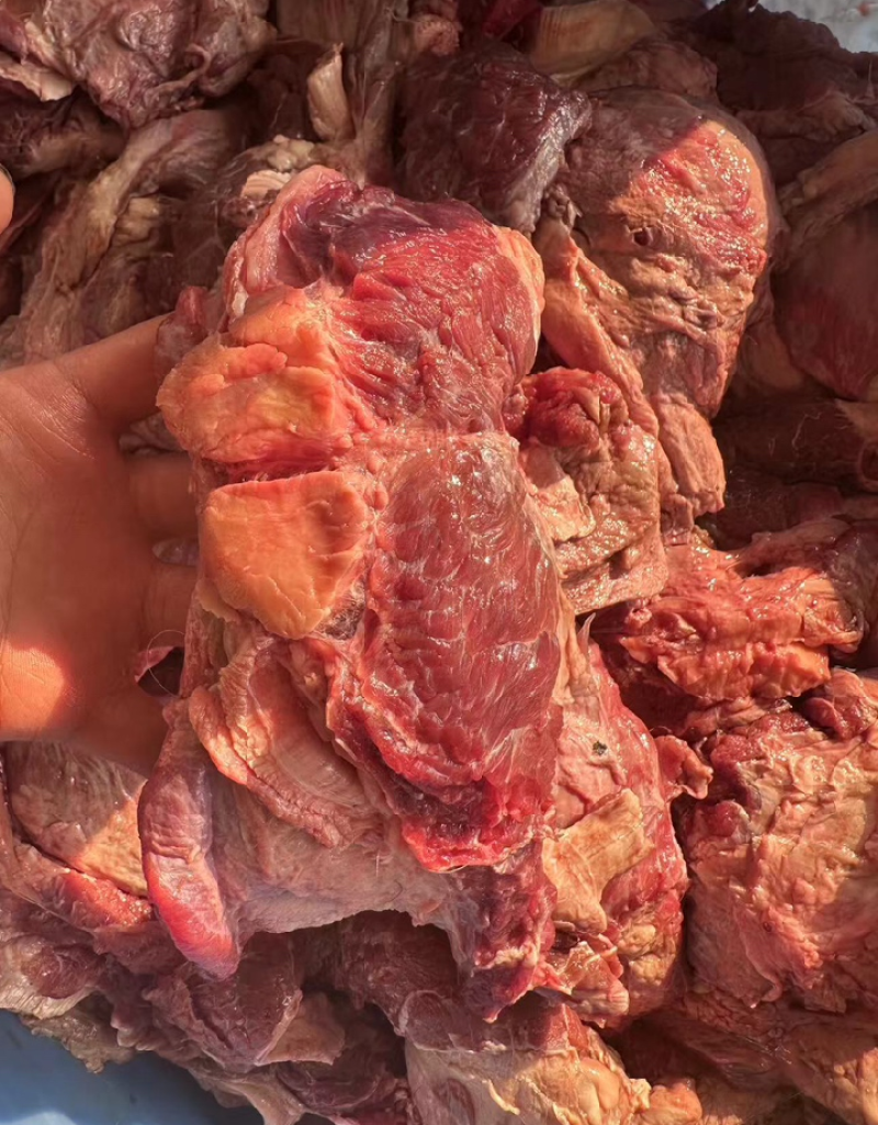 精品牛脑把肉