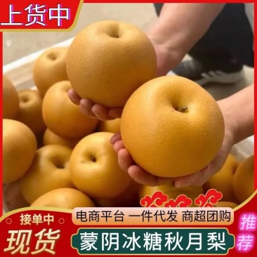《一件代发》秋月梨&蒙阴原产地/电商平台/一件代发团购