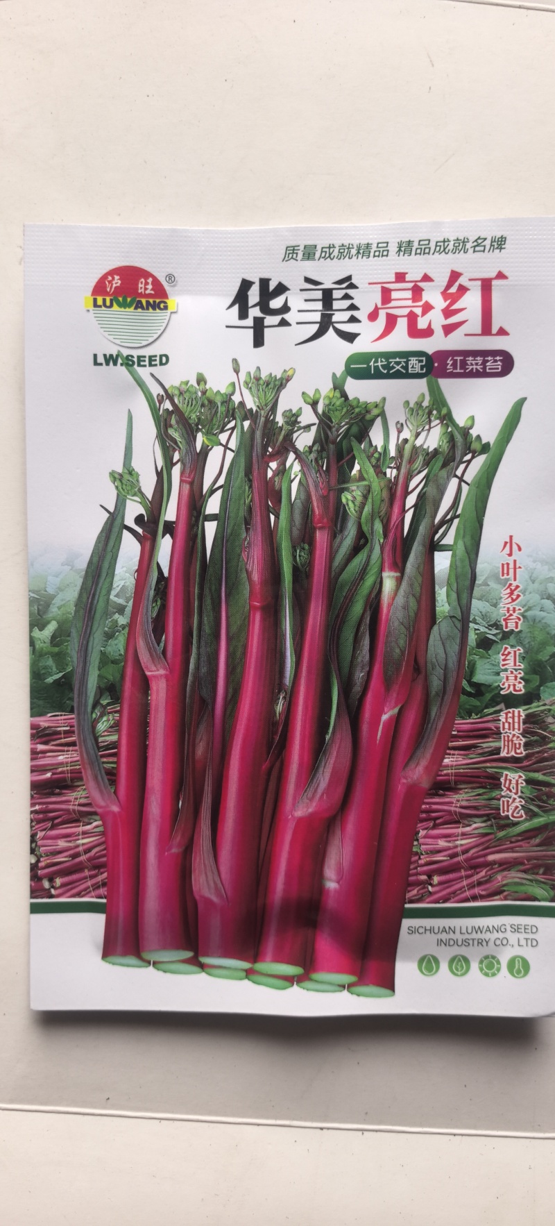 红菜苔种子华美亮红早熟红菜苔小叶多苔红亮甜脆