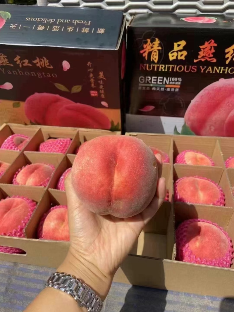 丹东河口燕红桃