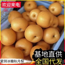 【精选】蒙阴冰糖秋月梨/产地现摘/对接电商平台/一件代发
