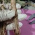 芍药苗，精品、现货、基地1年2年苗有货欢迎进店咨
