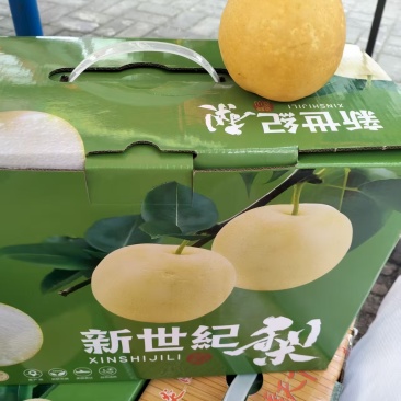 新世纪梨