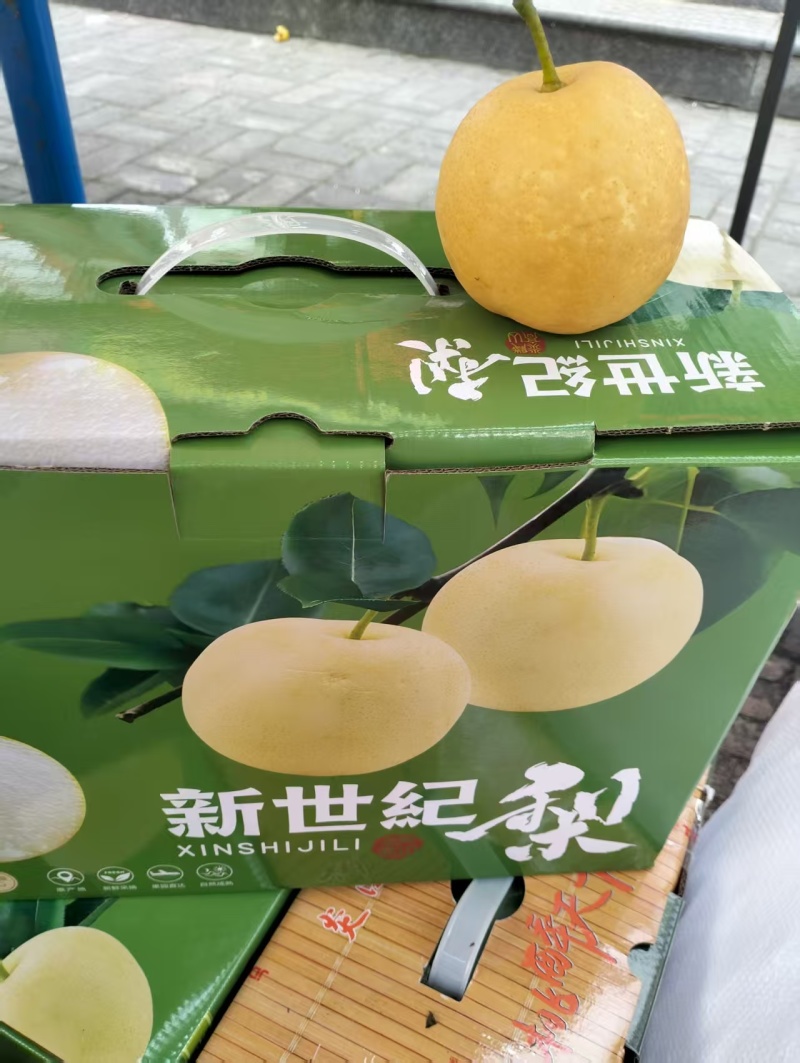 新世纪梨
