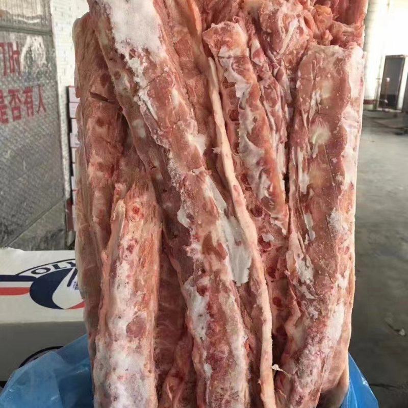 龙骨