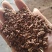 （来电询价）茶粕茶枯茶麸茶籽饼厂家直销杀杂鱼清塘肥水