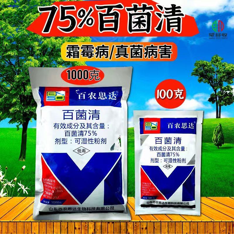 75%百菌清杀菌剂蓝粉霜霉病真菌病农药杀菌农用100克