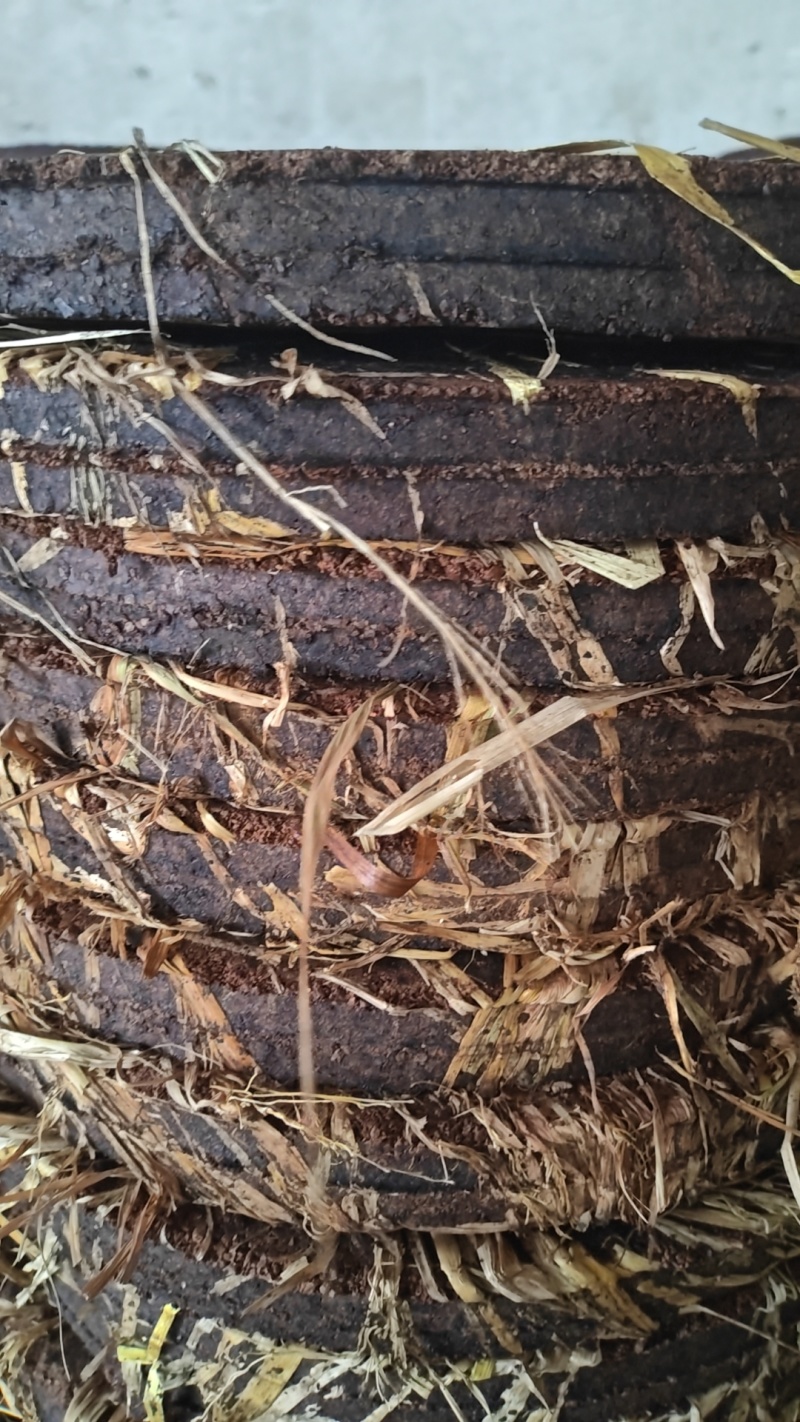 电话议价茶枯茶麸茶粕湖南产地茶枯粉洗头发种植肥料