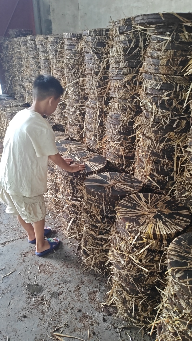 电话议价茶枯茶麸茶粕湖南产地茶枯粉洗头发种植肥料