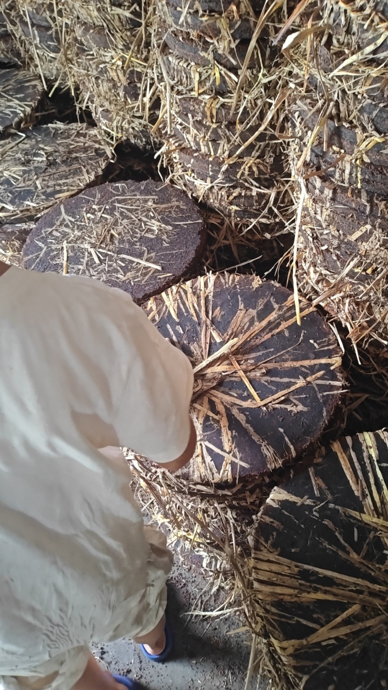 电话议价茶枯茶麸茶粕湖南产地茶枯粉洗头发种植肥料