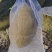 菠萝蜜