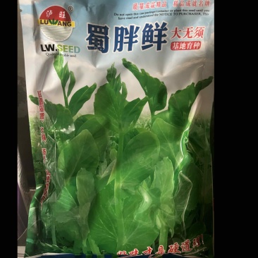 蜀胖鲜豌豆尖珍品新鲜爽口