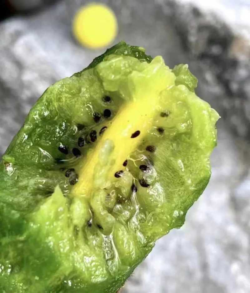 湘西猕猴桃大量出售绿心、黄心、红心需要都可以联系