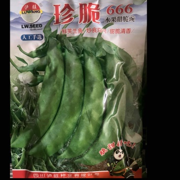 珍脆水果豌豆豆荚不大豆粒脆绿口感佳