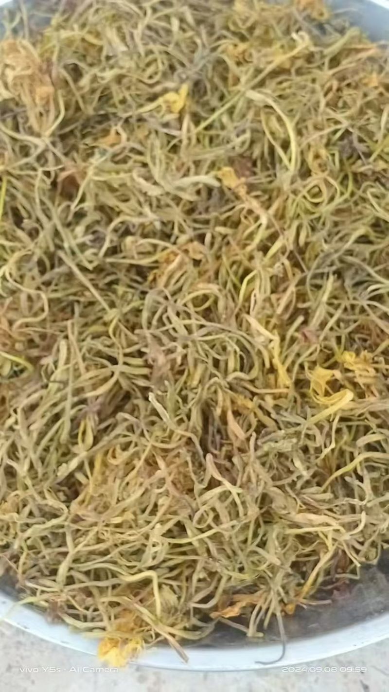 本人有10吨金银花出售。