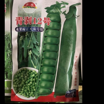 青剥12号水果豌豆