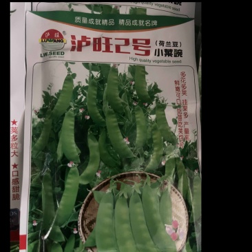 卢旺2号小菜豌