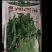 卢旺2号小菜豌