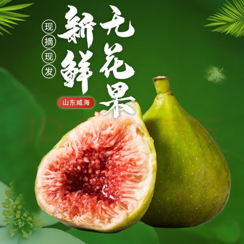 青皮无花果一件代发