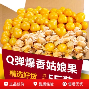 菇凉果一件代发