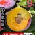 青红脆李