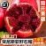 软籽石榴代发