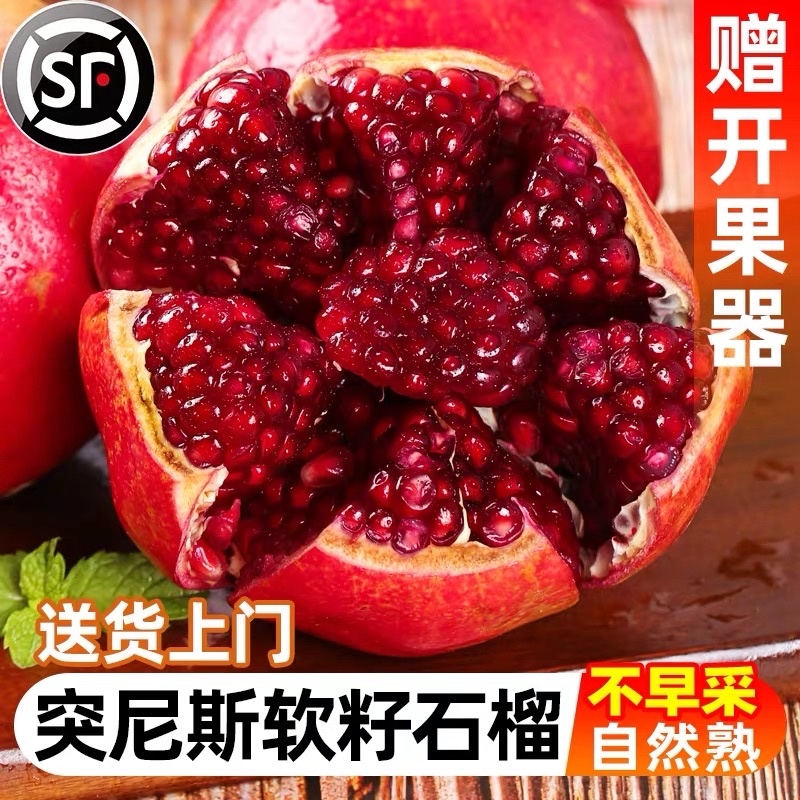 软籽石榴代发