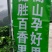 广西桂林钦蜜9号量大价优果真价实自有果园基地来电咨询