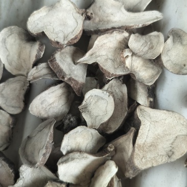 江油片