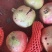 四川大凉山突尼斯软籽石榴饮料果，工厂果，榨汁果大量出货