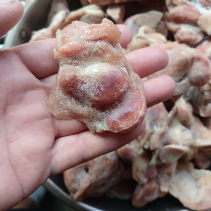 鸡胗公鸡珍大鸡胗