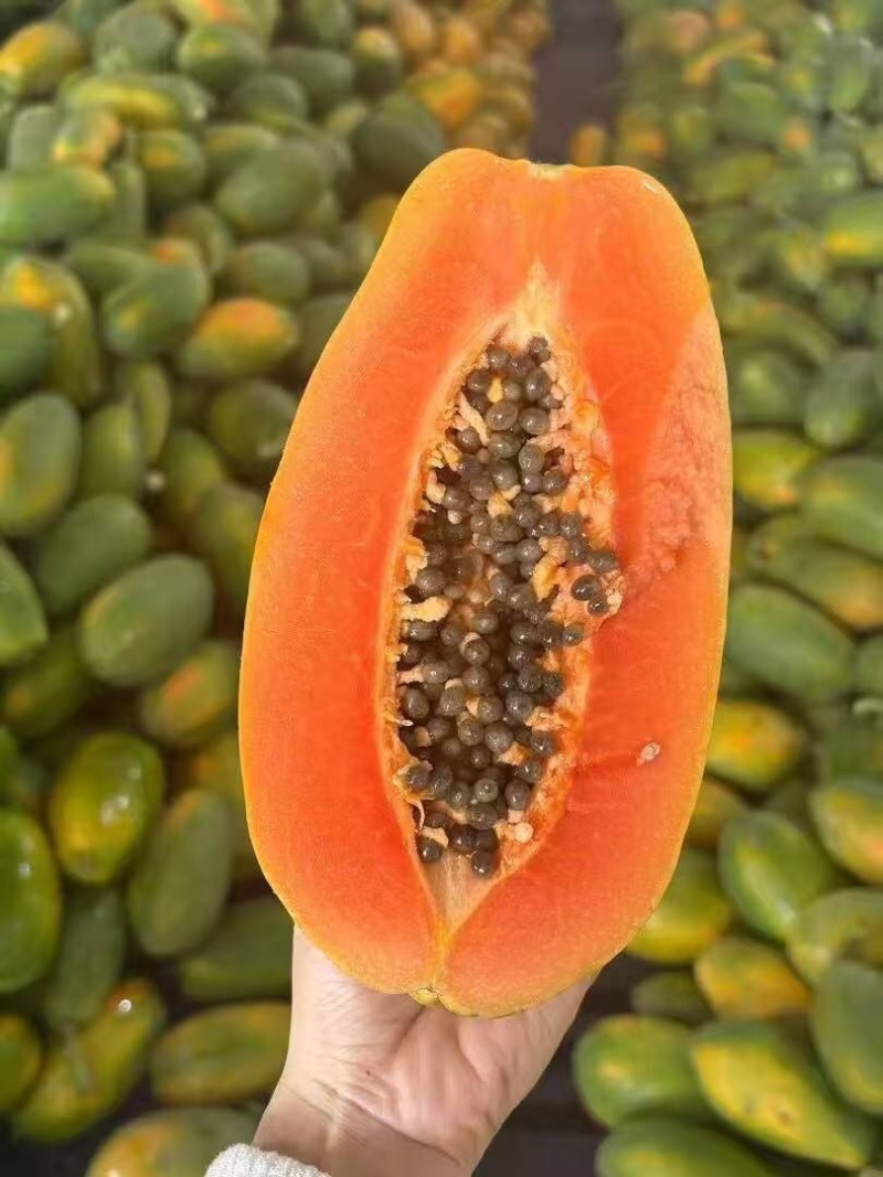 木瓜品质保证大量有货价格美丽欢迎联系