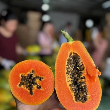 木瓜品质保证大量有货价格美丽欢迎联系
