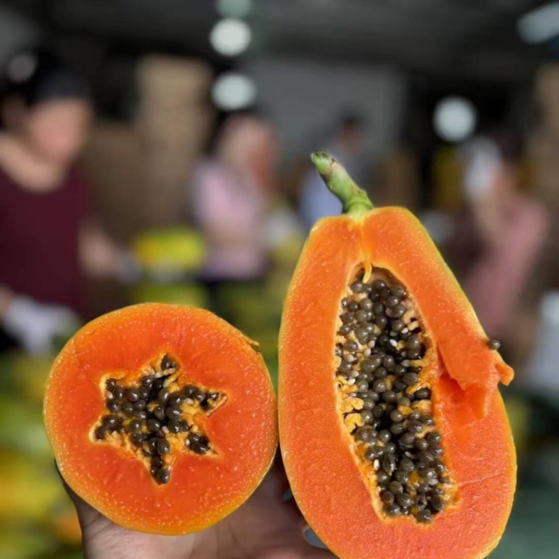 木瓜品质保证大量有货价格美丽欢迎联系